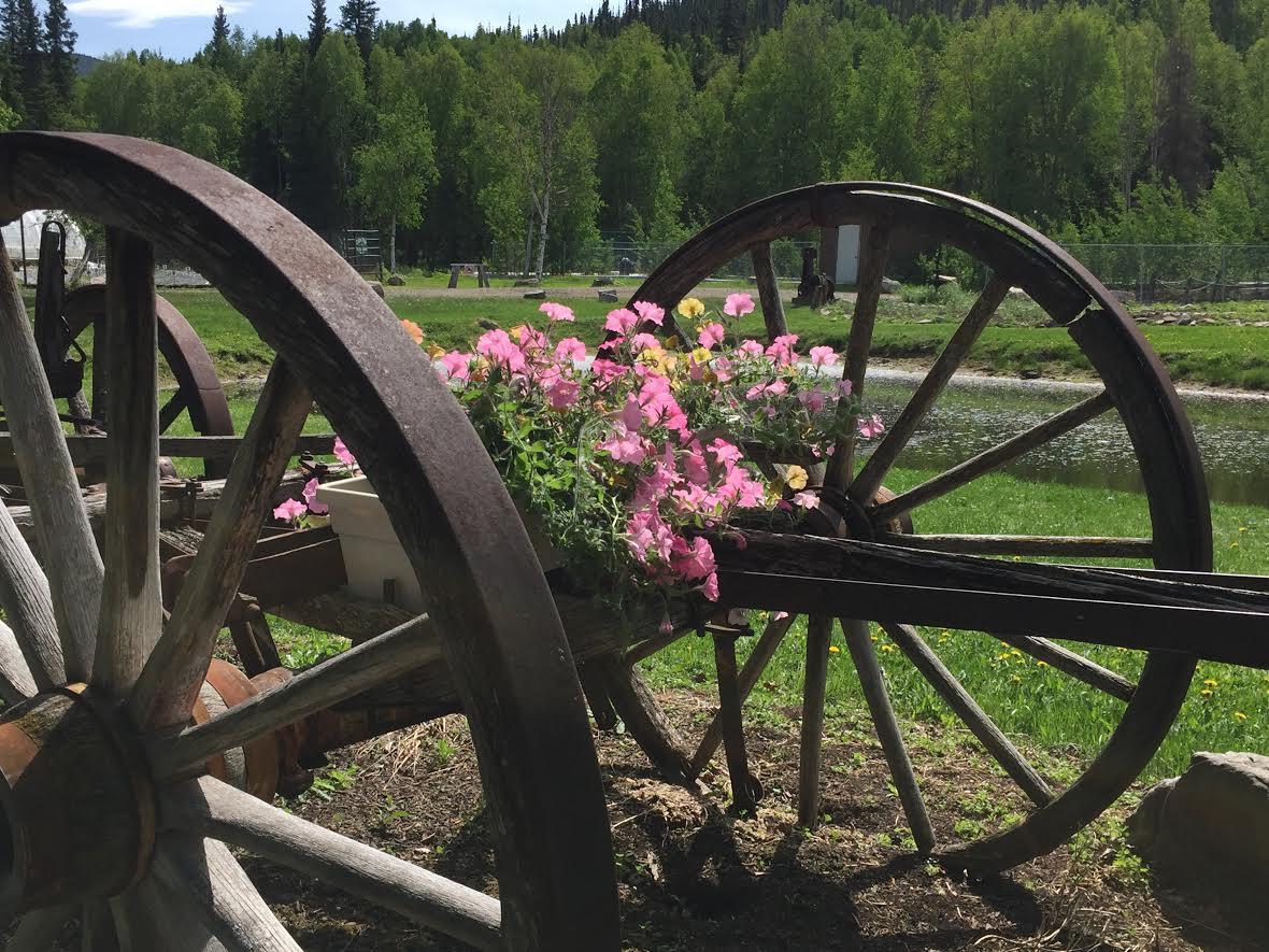 Chena Hot Springs Resort Экстерьер фото