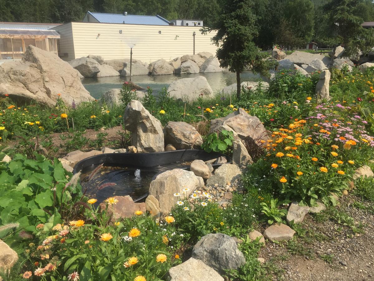 Chena Hot Springs Resort Экстерьер фото
